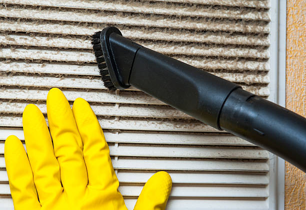 Best Emergency Air Duct Cleaning  in Las Quintas Fronterizas, TX